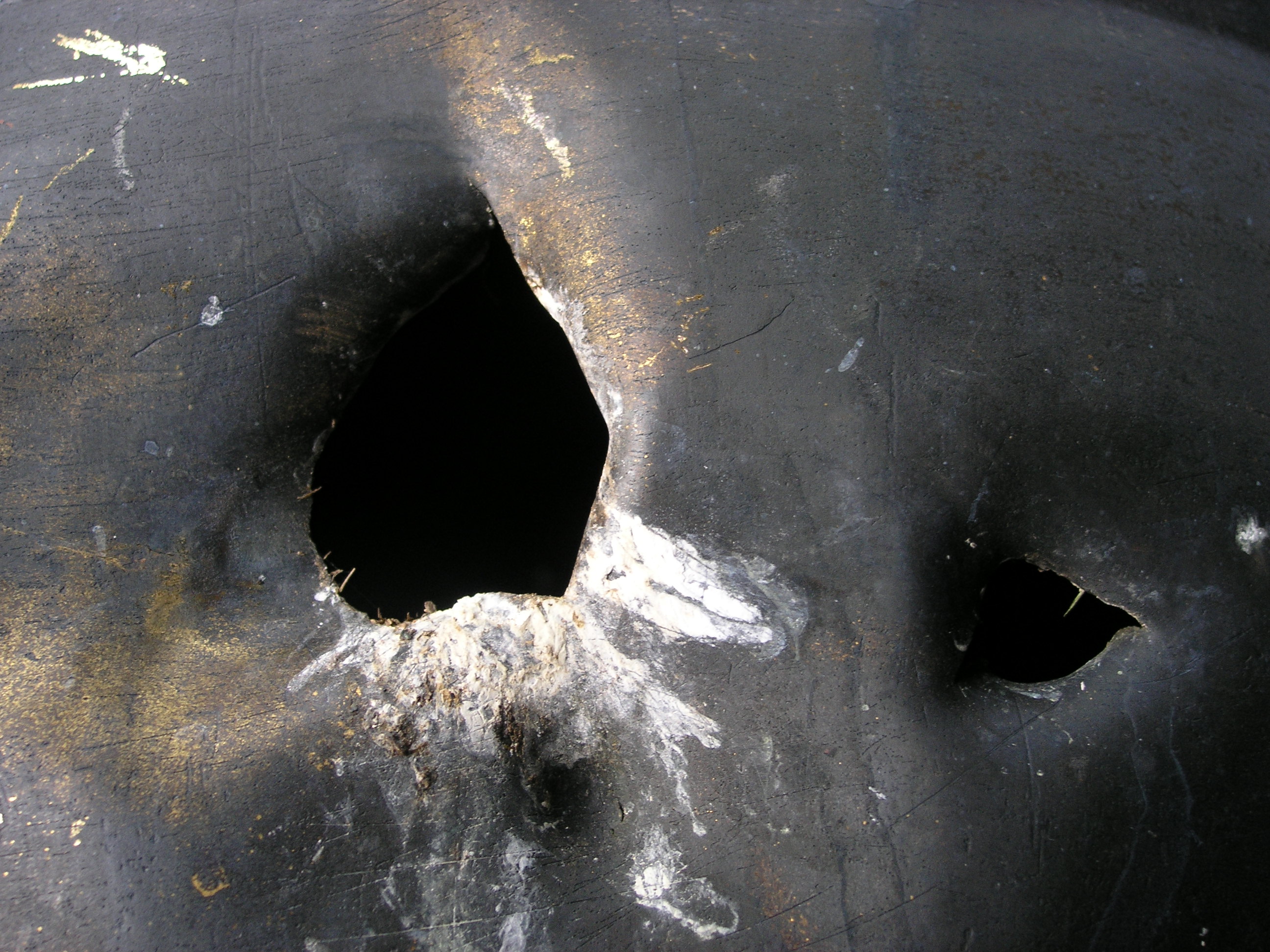 kuulis oli linnupesa